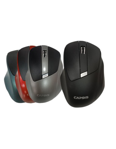 SOURIS 20M SANS FIL G-216